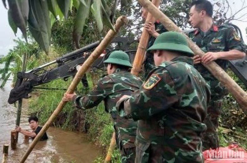 Los soldados se sumergen en el agua para reforzar el dique en el distrito de Quynh Phu. Los soldados se sumergen en el agua para reforzar el dique en el distrito de Quynh Phu.