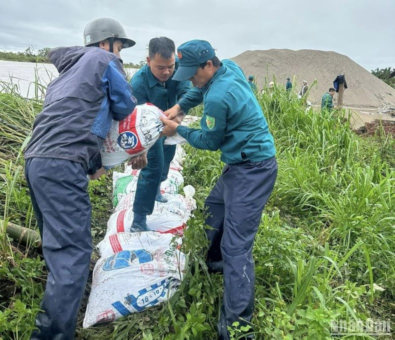 Pobladores del distrito de Quynh Phu colocan sacos de arena para proteger la zona de acuicultura fuera del dique del río Hoa. Pobladores del distrito de Quynh Phu colocan sacos de arena para proteger la zona de acuicultura fuera del dique del río Hoa.