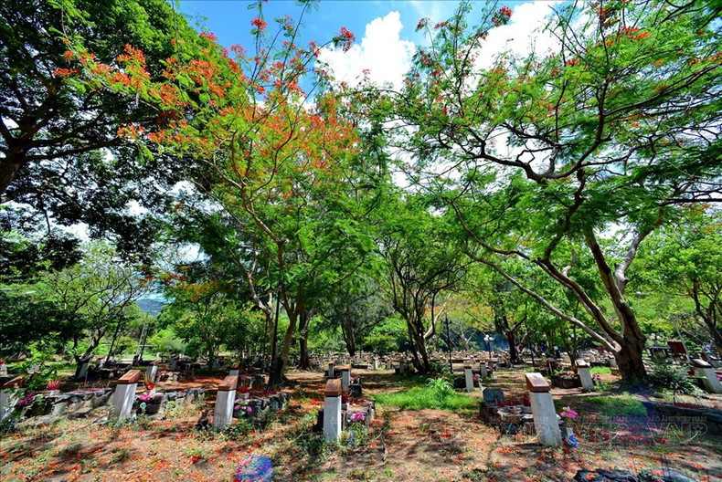 El cementerio de los Mártires de Hang Duong, lugar de descanso de miles de soldados revolucionarios encarcelados en la prisión de Con Dao desde 1862 hasta el 30 de abril de 1975. (Fuente: Revista Ilustrada de Vietnam)