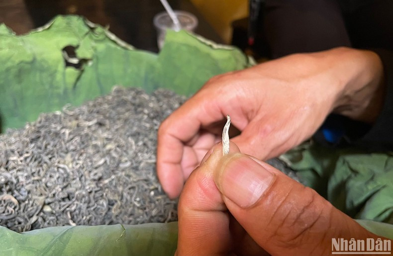 Té Shan Tuyet. Té Shan Tuyet.