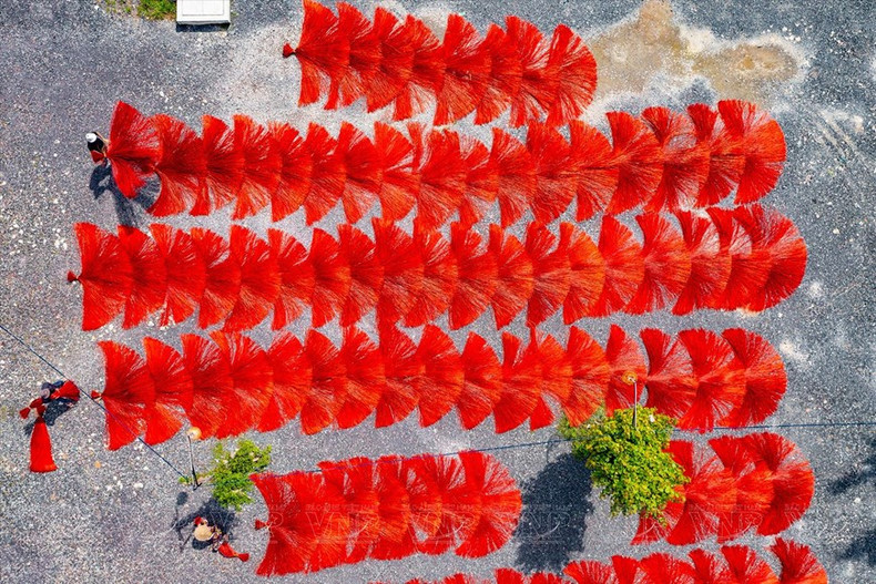 Secan las esteras despues de teñirlas al sol. (Fuente:VNA) Secan las esteras despues de teñirlas al sol. (Fuente:VNA)