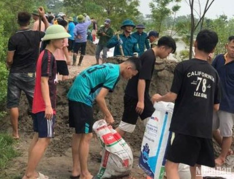 Jóvenes de la comuna de Vu Tien llenan los sacos por arena para reforzar el dique. Jóvenes de la comuna de Vu Tien llenan los sacos por arena para reforzar el dique.