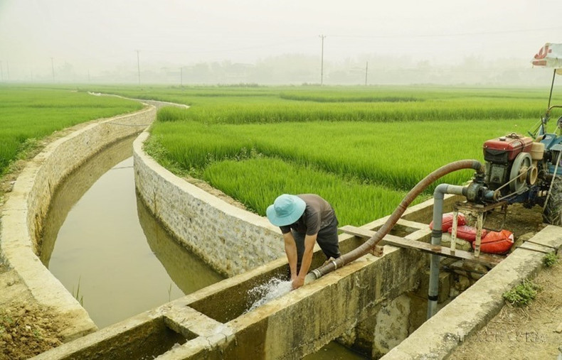 La gente de la provincia de Dien Bien utiliza bombas para regar los campos de arroz. (Foto: VNA)