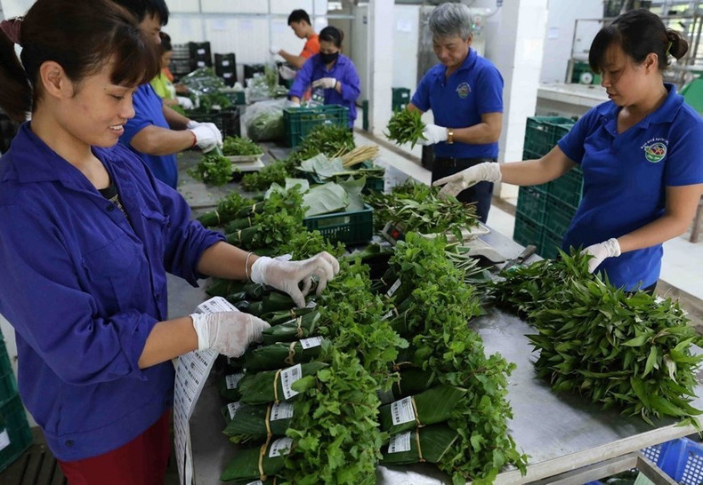 No utilizar bolsas de alimentos ni de nylon también resulta una solución eficaz para proteger las fuentes de agua limpia. (Foto: VNA)