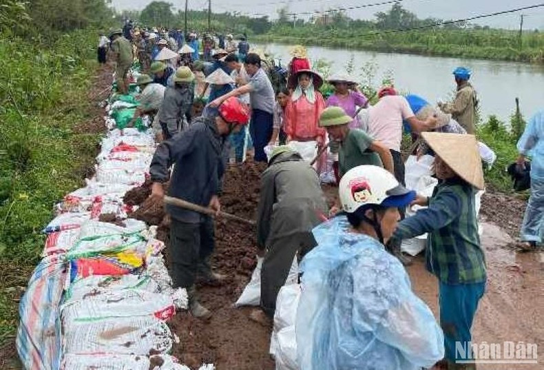 Pobladores de la comuna de Vu Doai participan en trabajos para proteger el dique. Pobladores de la comuna de Vu Doai participan en trabajos para proteger el dique.