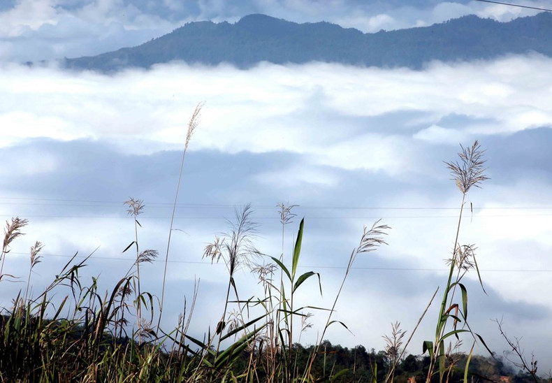 El mar de nubes flota entre las montañas superpuestas, hasta donde alcanza la vista. (Fuente: VNA)