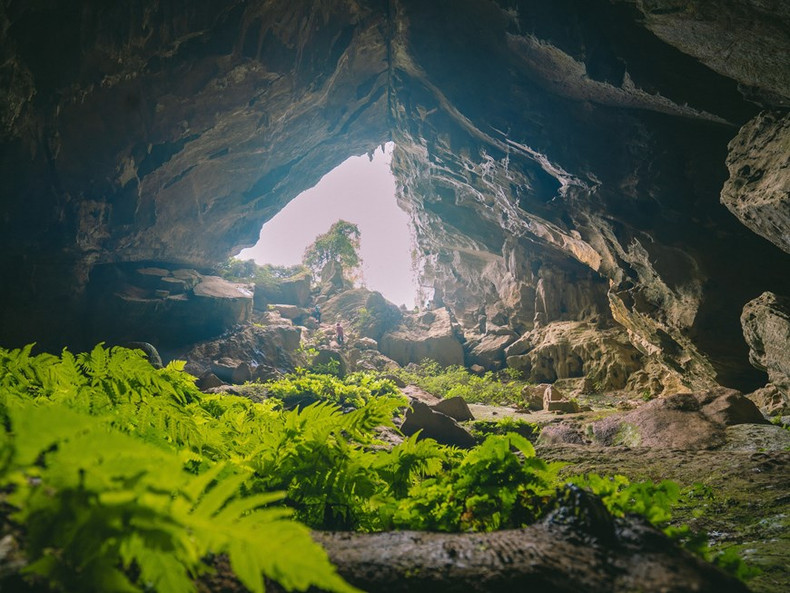 Cueva de Chuot fue escenario de la película Kong-Skull islands. (Fuente: VNA) Cueva de Chuot fue escenario de la película Kong-Skull islands. (Fuente: VNA)