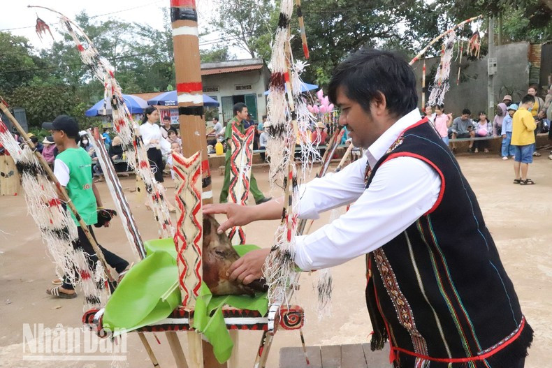 La ofrenda del Festival de Arroz Nuevo siempre cuenta con una cabeza de cerdo.