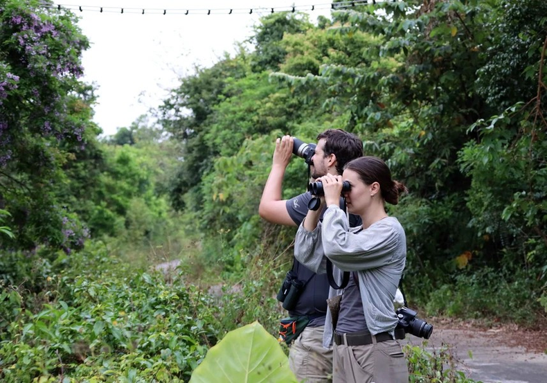 Los turistas extranjeros contemplan y captan la belleza de las flores de millettia ichthyochtona. (Foto: Vietnam)