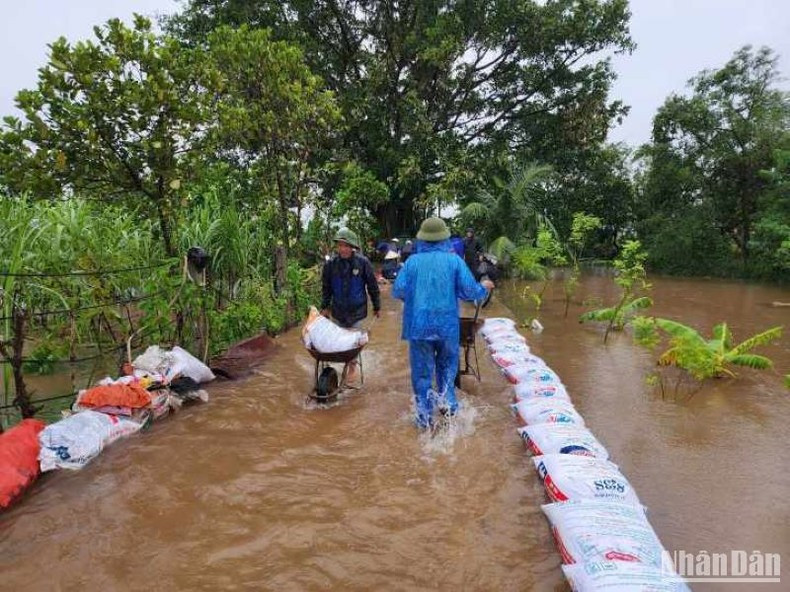 El ejército y el pueblo del distrito de Vu Thu se esfuerzan por evitar las inundaciones en 75 hectáreas de arroz y cultivos. El ejército y el pueblo del distrito de Vu Thu se esfuerzan por evitar las inundaciones en 75 hectáreas de arroz y cultivos.