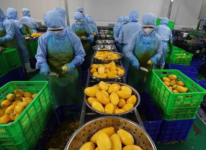 Foto ilustrativa (Fuente: VNA)