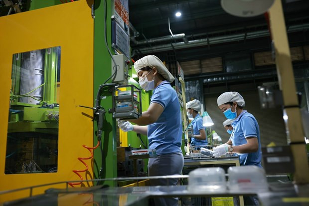 Foto de ilustración (Fuente:laodong.vn)