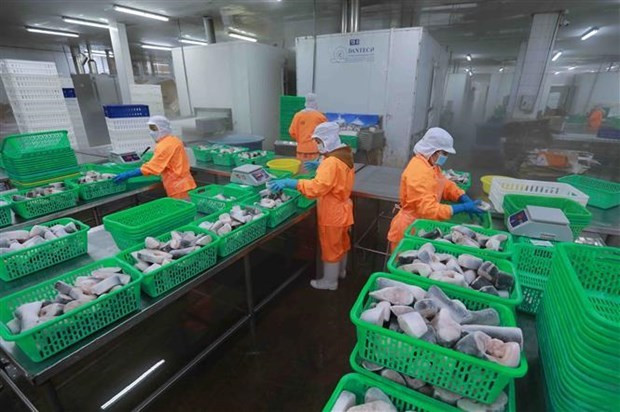 Según experto de FMI, Vietnam necesita seguir reformándose para tener un mejor entorno empresarial. (Fuente: VNA) Según experto de FMI, Vietnam necesita seguir reformándose para tener un mejor entorno empresarial. (Fuente: VNA)