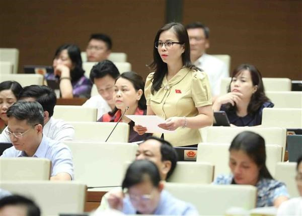 La diputada Chu Thi Hong Thai en la sesión. (Foto: VNA)