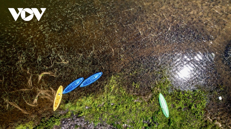 Los visitantes pueden hacer recorridos en kayak para descubrir la naturaleza y la vegetación alrededor del lago.