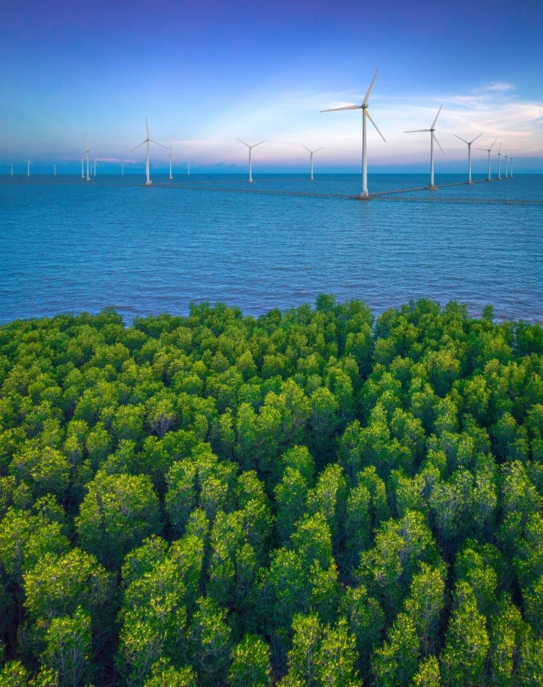 Obra de Mai Hoai Thuong en la categoría de realismo.