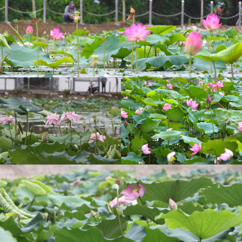 La tranquilidad de un típico pueblo vietnamita.