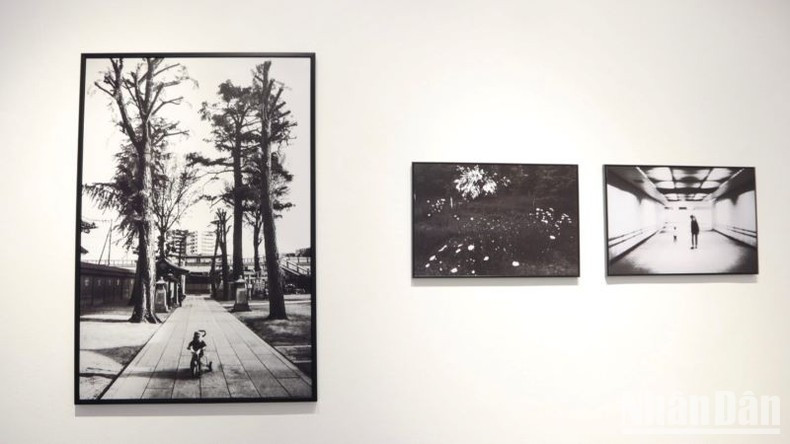 Las obras no tienen leyendas, pues el autor desea que los espectadores aprecian cada foto a través de su propia perspectiva.