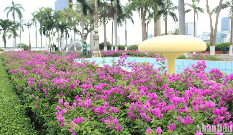 Un ramo de flores en la calle Tran Hung Dao. Un ramo de flores en la calle Tran Hung Dao.