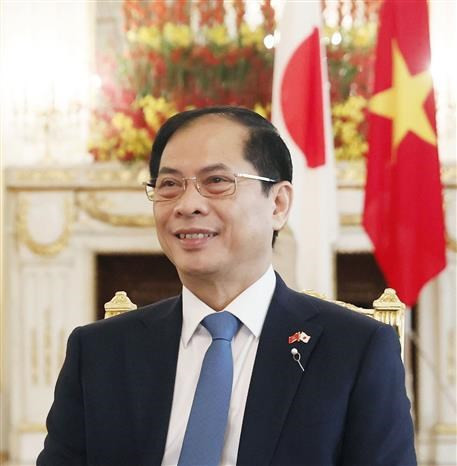 El ministro de Relaciones Exterior de Vietnam, Bui Thanh Son, (Fuente:VNA) El ministro de Relaciones Exterior de Vietnam, Bui Thanh Son, (Fuente:VNA)