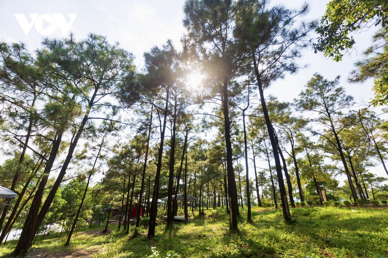 Antes, el lago Yen Trung solo era conocido como un hermoso lugar para hacer fotografías de boda. Desde 2018, el número de turistas que visitan el lugar ha aumentado considerablemente gracias a que el gobierno local ha instalado sistemas de iluminación, suministro de agua y restaurado instalaciones y carreteras.