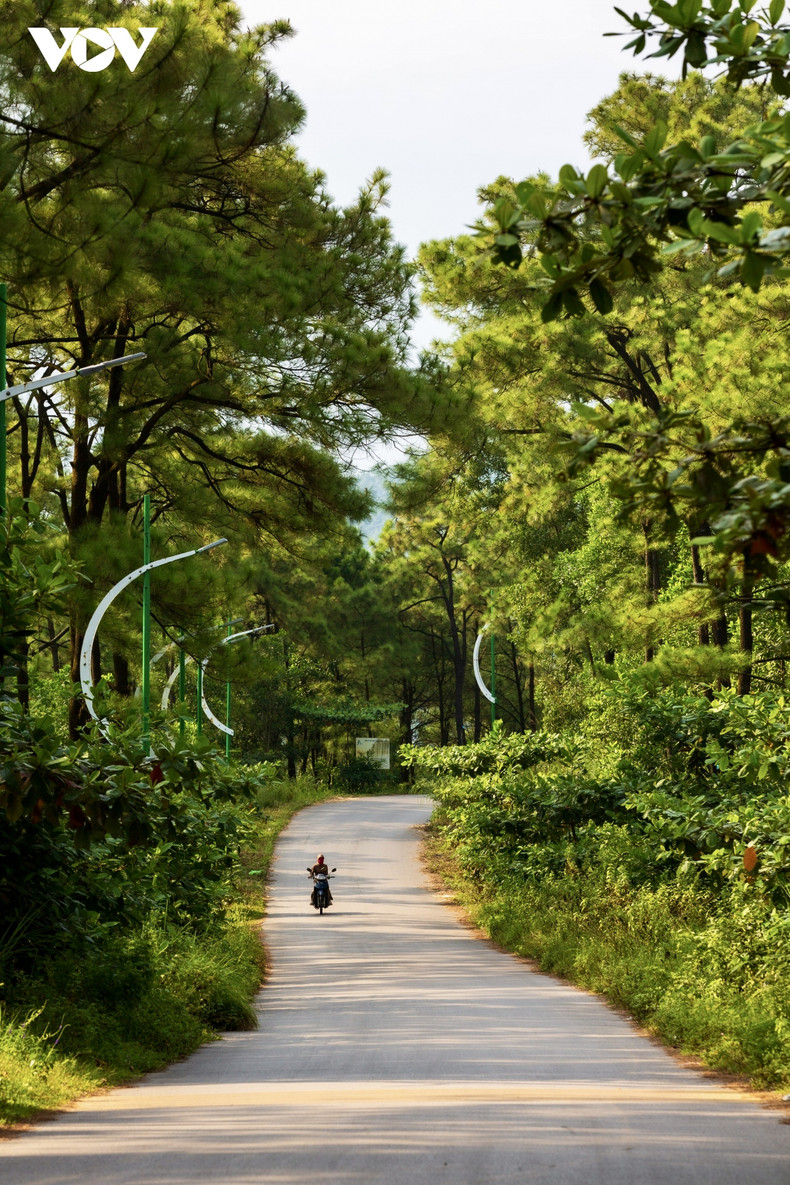Además de observar la magnífica escena del camino hacia el lago bordeado por árboles, los turistas pueden sentir el viento fresco en la cara.