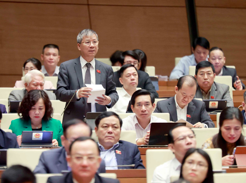El delegado de la Asamblea Nacional en Hanói Nguyen Anh Tri expresa su opinión. El delegado de la Asamblea Nacional en Hanói Nguyen Anh Tri expresa su opinión.