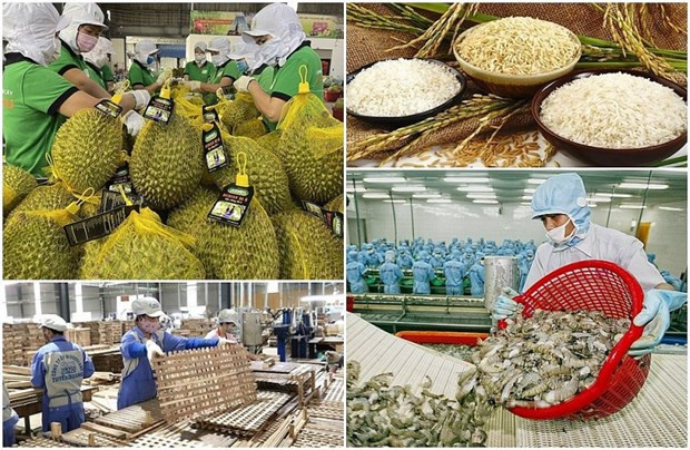 Vietnam promueve aplicación de tecnología para la agricultura sostenible (Fuente: baodautu.vn) Vietnam promueve aplicación de tecnología para la agricultura sostenible (Fuente: baodautu.vn)