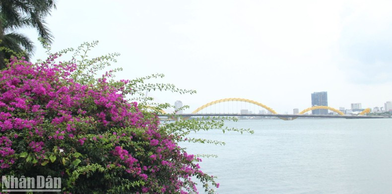 Cerca del Puente del Dragón. Cerca del Puente del Dragón.