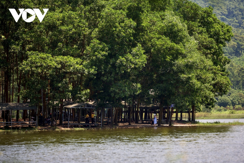 Además de las tareas de protección forestal, las autoridades locales han adoptado planes destinados a crear empleos y medios de vida para mejorar gradualmente los ingresos de las personas.