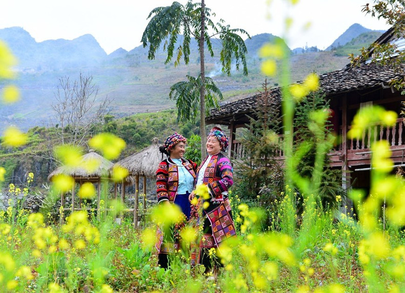 Mujeres de la etnia Lo Lo en Meo Vac, Ha Giang, junto a los campos de canola. Mujeres de la etnia Lo Lo en Meo Vac, Ha Giang, junto a los campos de canola.