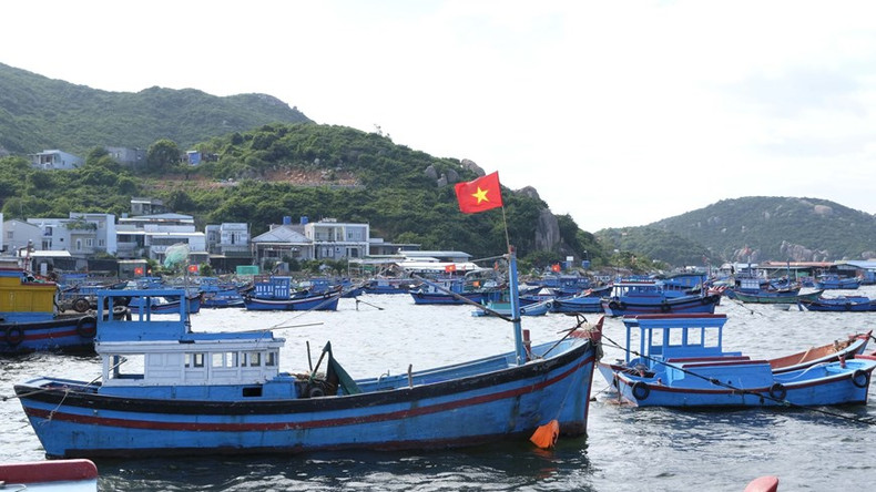 El 85 por ciento de los hogares de residentes en la isla de Binh Ba se dedican a la cría de langostas en el mar (Foto: VNA) El 85 por ciento de los hogares de residentes en la isla de Binh Ba se dedican a la cría de langostas en el mar (Foto: VNA)