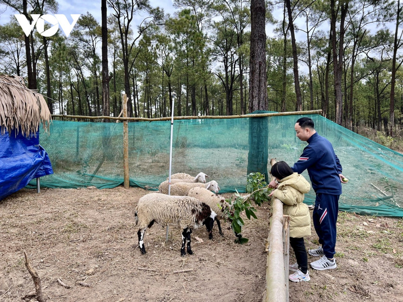 Los turistas pueden disfrutar de servicios como conducir una moto por las colinas de pinos, visitar granjas de ovejas y viñedos.