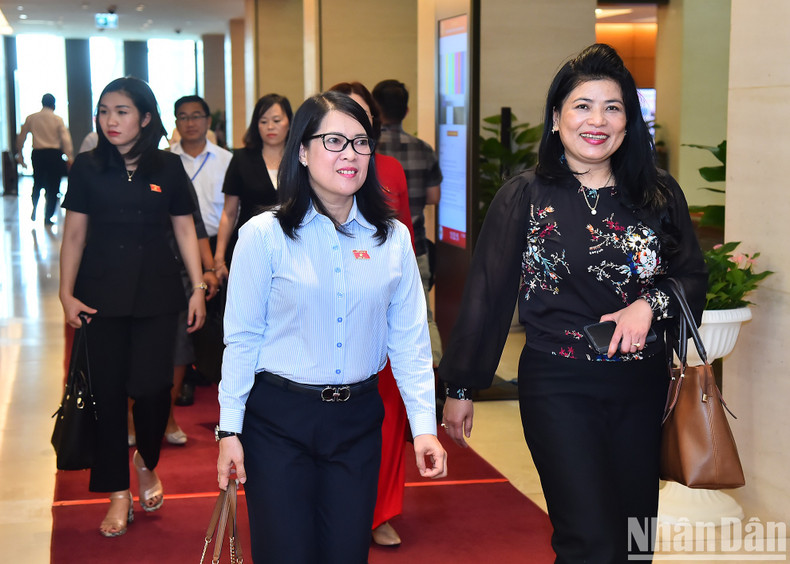 Diputadas asisten a sesiones que debaten los nombramientos Diputadas asisten a sesiones que debaten los nombramientos