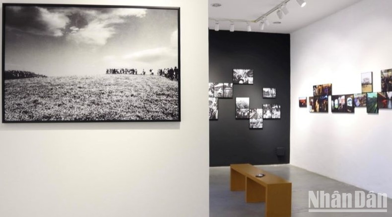 Las fotos ayudan a los espectadores a sentir el aliento de Tokio con solo una mirada.