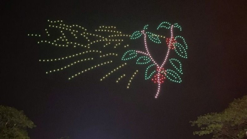 La imagen del cafeto. La imagen del cafeto.