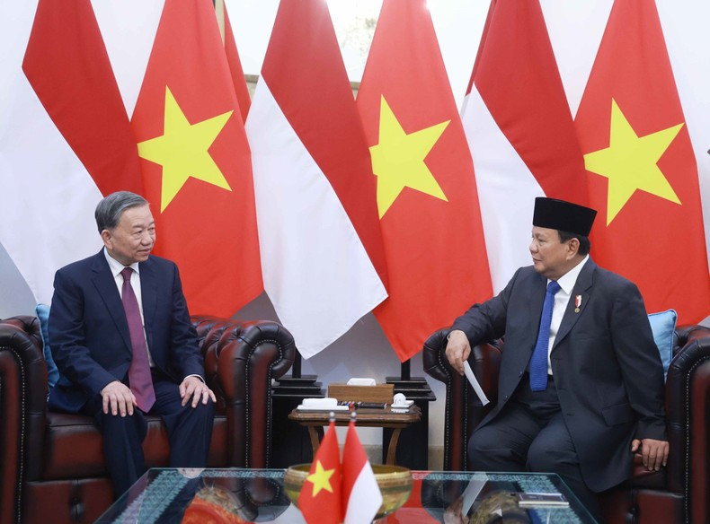 El secretario general del PCV, To Lam, conversa con el presidente de Indonesia y titular del Partido del Movimiento Gran Indonesia, Prabowo Subianto.