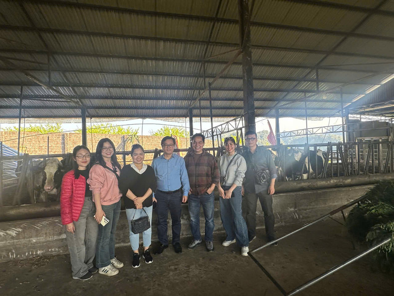 Reporteros del periódico Nhan Dan visitan el área del establo de vacas lecheras. (Foto: Loc Hang)