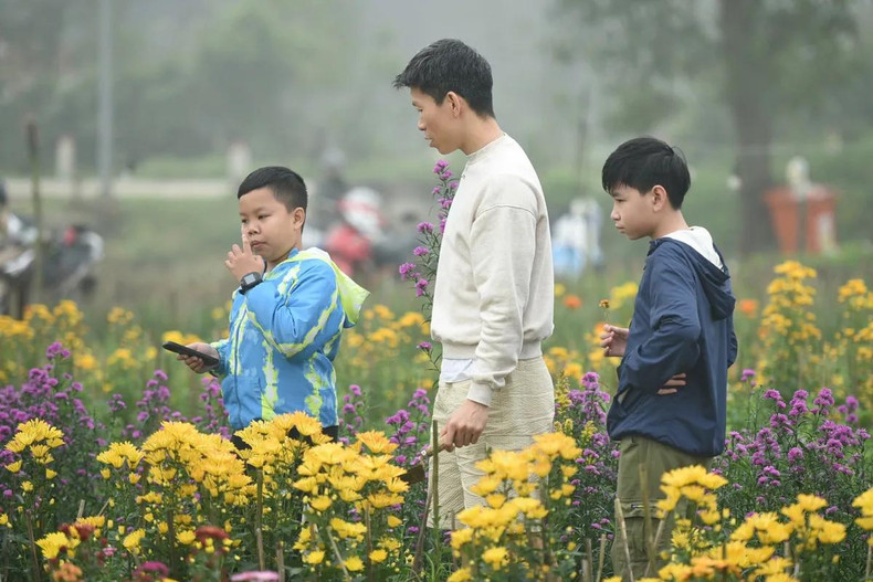 A partir del 20 de diciembre, según el calendario lunar, muchos visitantes acuden a la aldea para admirar la belleza de las flores, comprarlas y tomarles fotos. A partir del 20 de diciembre, según el calendario lunar, muchos visitantes acuden a la aldea para admirar la belleza de las flores, comprarlas y tomarles fotos.