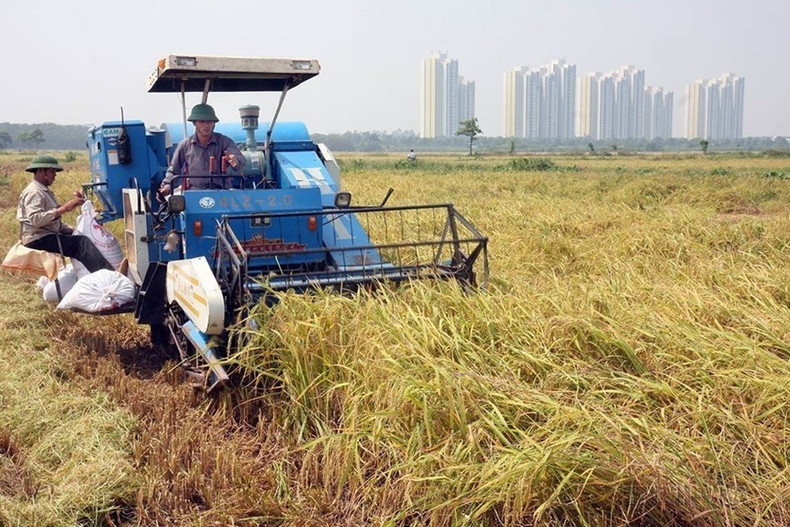 Mecanización sincrónica en la producción agrícola permite la reducción de costos y el aumento de la productividad laboral de acuerdo con los criterios de construcción de un nuevo campo rural en la comuna de Da Ton, distrito de Gia Lam.