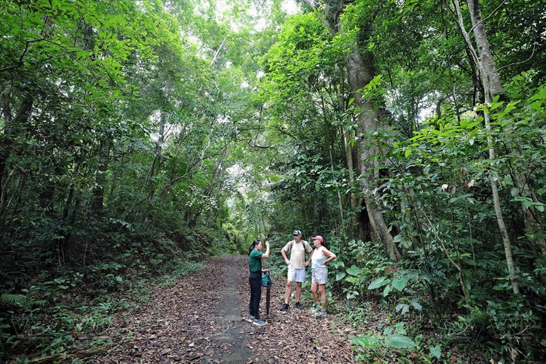 En el recorrido habrá un guía turístico que introduce información a los visitantes. En el recorrido habrá un guía turístico que introduce información a los visitantes.