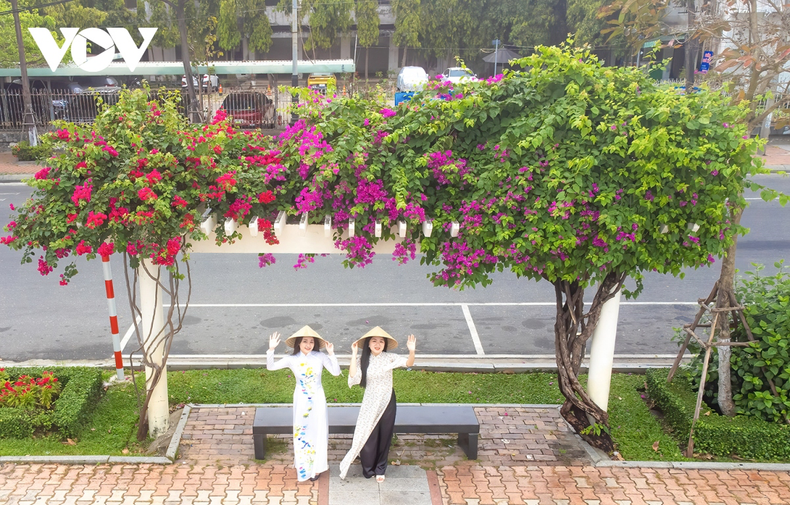 Las vibrantes flores ofrecen oportunidades fotográficas a los jóvenes. Las vibrantes flores ofrecen oportunidades fotográficas a los jóvenes.