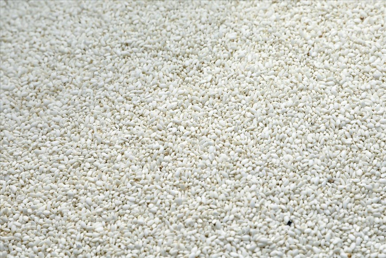 El arroz glutinoso seleccionado es delicioso, con granos redondos y regordetes. El arroz glutinoso seleccionado es delicioso, con granos redondos y regordetes.