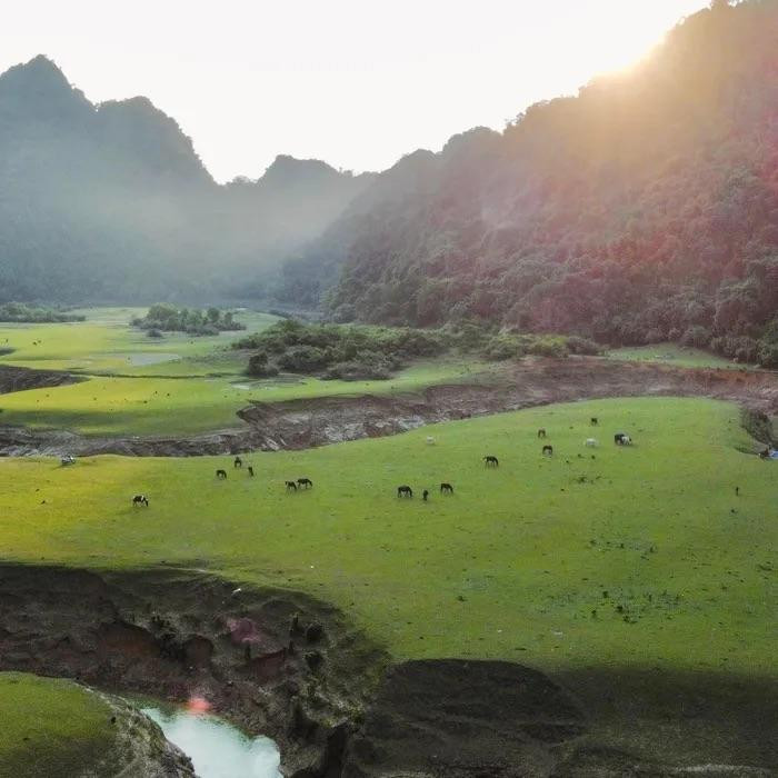 Al visitar Dong Lam, el picnic es una actividad indispensable.
