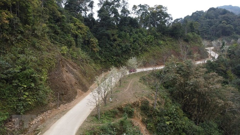 La Organización de Récord de Vietnam reconoció este destino como la calle de flores de pera más larga del país.