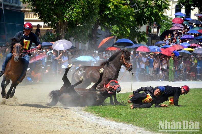 Compiten en las curvas de la pista.