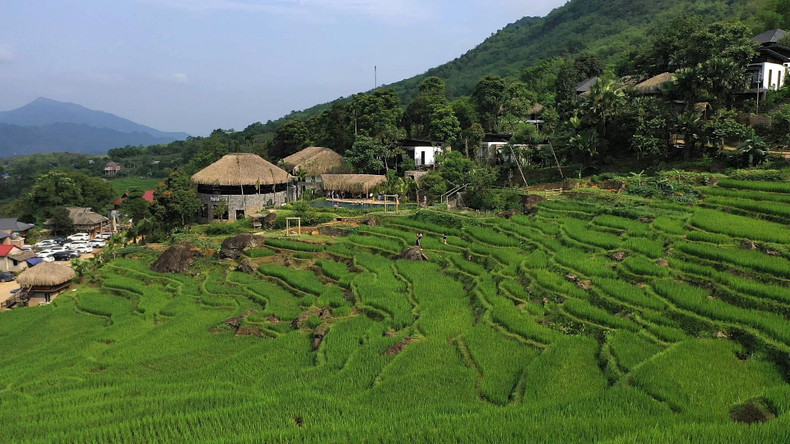Con más de 17,7 mil hectáreas, Pu Luong es famosa por sus bosques, arroyos, cascadas, cuevas y montañas, junto a las aldeas y terrazas de arroz. Con más de 17,7 mil hectáreas, Pu Luong es famosa por sus bosques, arroyos, cascadas, cuevas y montañas, junto a las aldeas y terrazas de arroz.