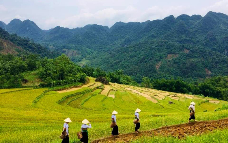 La reserva natural de Pu Luong es el hogar de los grupos étnicos Thai y Muong. La reserva natural de Pu Luong es el hogar de los grupos étnicos Thai y Muong.