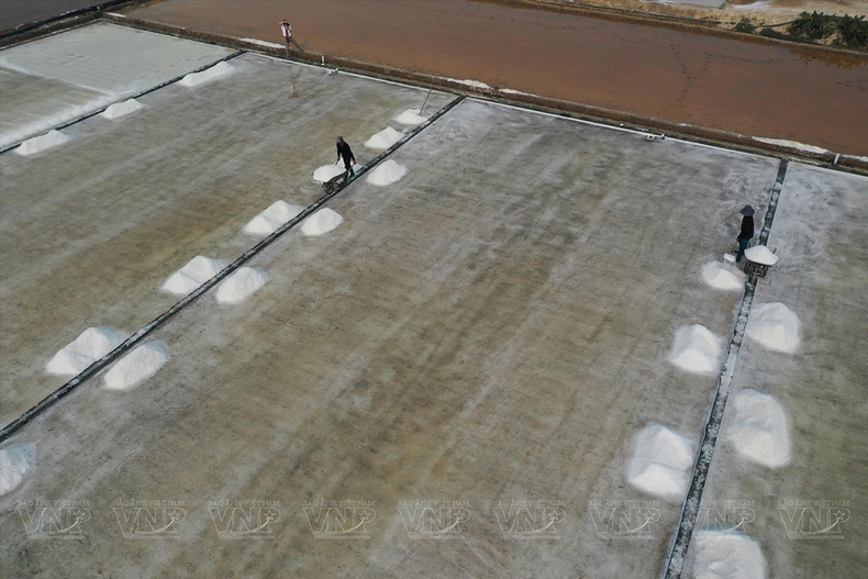 El oficio de hacer sal en Ninh Thuan se concentra principalmente en las comunas de Phuong Hai, Tri Hai, Nhon Hai (distrito de Ninh Hai), Ca Na, Phuoc Diem, Phuoc Minh (distrito de Thuan Nam). El oficio de hacer sal en Ninh Thuan se concentra principalmente en las comunas de Phuong Hai, Tri Hai, Nhon Hai (distrito de Ninh Hai), Ca Na, Phuoc Diem, Phuoc Minh (distrito de Thuan Nam).