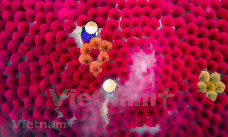 Después de casi dos meses de suspensión de producción debido al distanciamiento social, los hogares de elaboración de incienso en la aldea de Quang Phu Cau han reanudado sus operaciones. Ubicada a más de 30 km del centro de la capital de Hanói, la aldea se formó hace más de un siglo y es la única que fabrica incienso en la capital. Desde aquí, los inciensos se envían a otras provincias y ciudades del país y se exporta a países extranjeros como la India, China y Malasia. De ser solo un trabajo secundario, hasta ahora, la fabricación de inciensos se ha desarrollado fuertemente, convirtiéndose en la ocupación principal, proporcionando la principal fuente de ingresos para los habitantes locales.